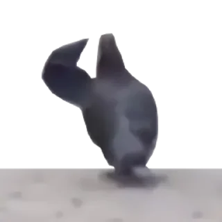 🫡