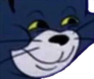 😼