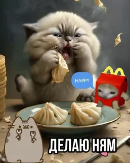 🍽