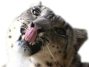 😛
