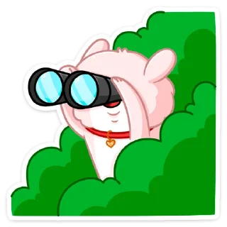 🔎