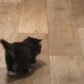 🤪