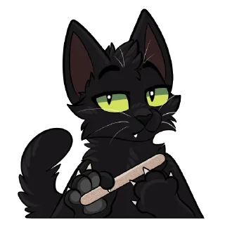 🐈‍⬛