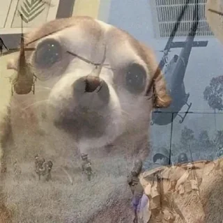 😨