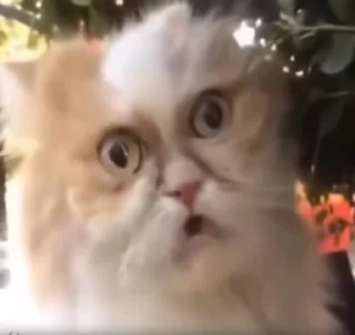 😧