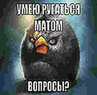 🤓