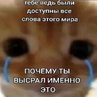 😭