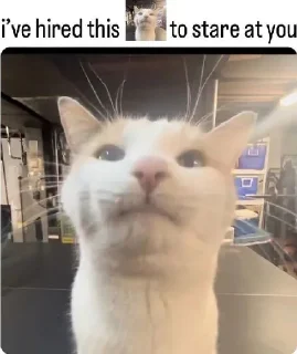 👀