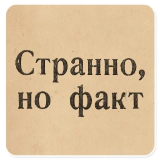 🙇‍♀️