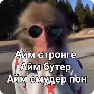 😎
