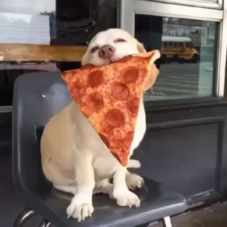 🍕