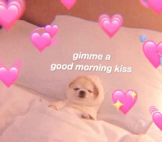 🌷