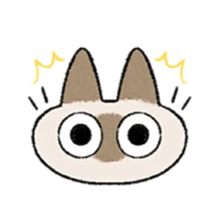 😺