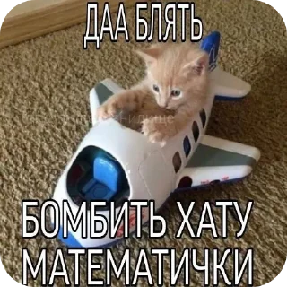 👍