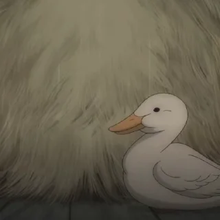 🦆