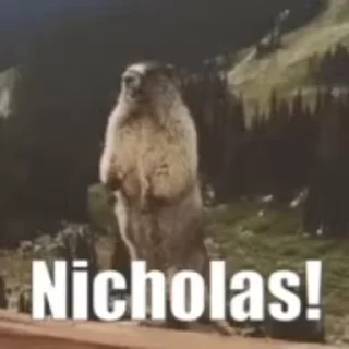 😵