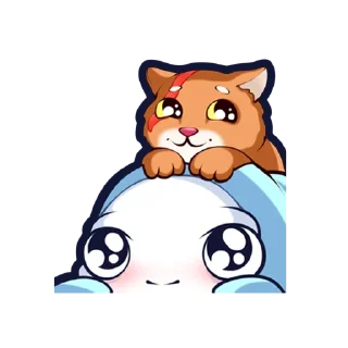 🐱
