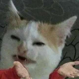 🤨