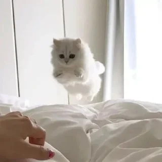 👀