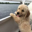 😝