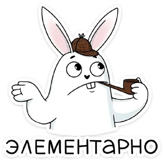 🐰