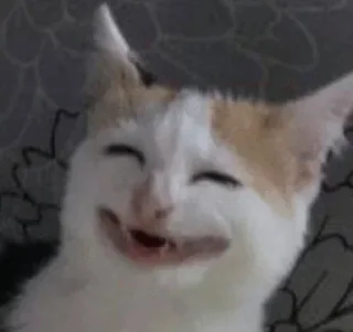 😃