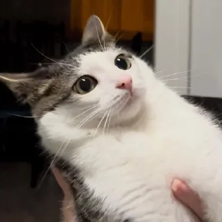 😐