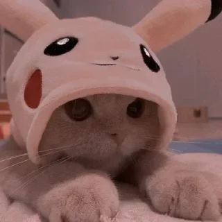 😊