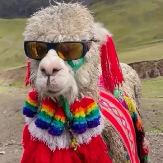 😎