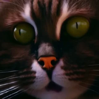 😡
