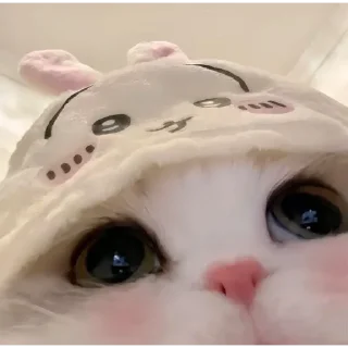 😺