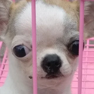 😶