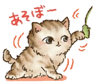 🐱
