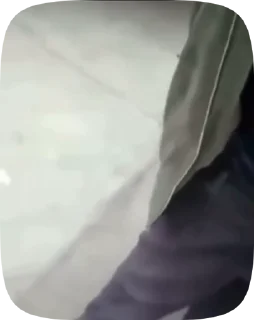 🍆