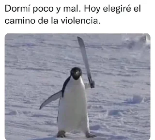 🐧