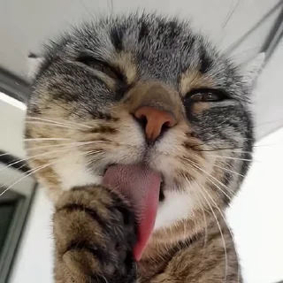 😉