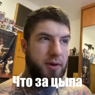 😎