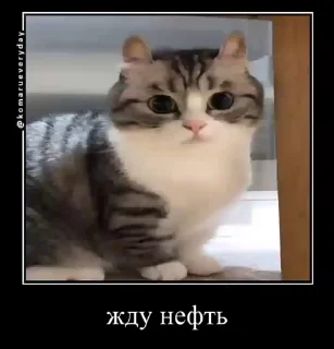 😊