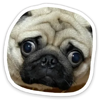 🥺