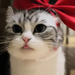 ❤️‍🔥