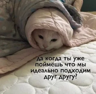 😞