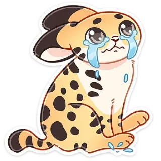 😭
