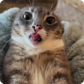 👽