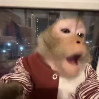 🌟