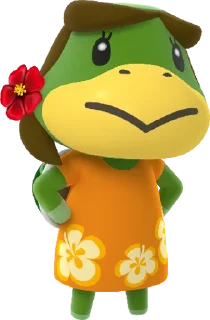 🐢