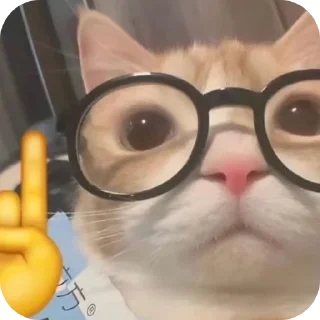 👓
