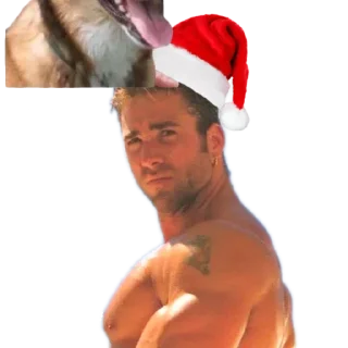 🎄