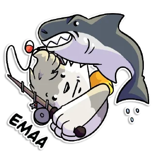 🦈
