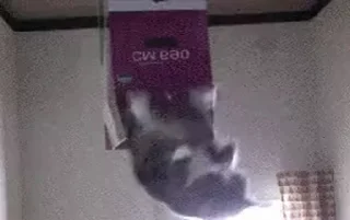 👆