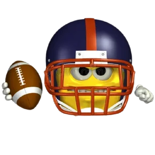 🏈